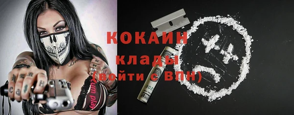 шишки Никольское