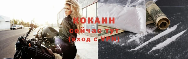 шишки Никольское
