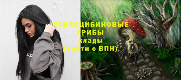 PSILOCYBIN Усолье-Сибирское