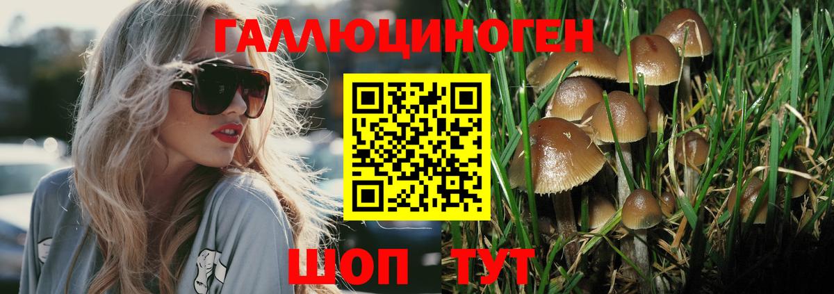 Балаково  как найти наркотики  Вход с VPN  Псилоцибиновые грибы GOLDEN TEACHER  Галлюциногенные грибы мицелий 