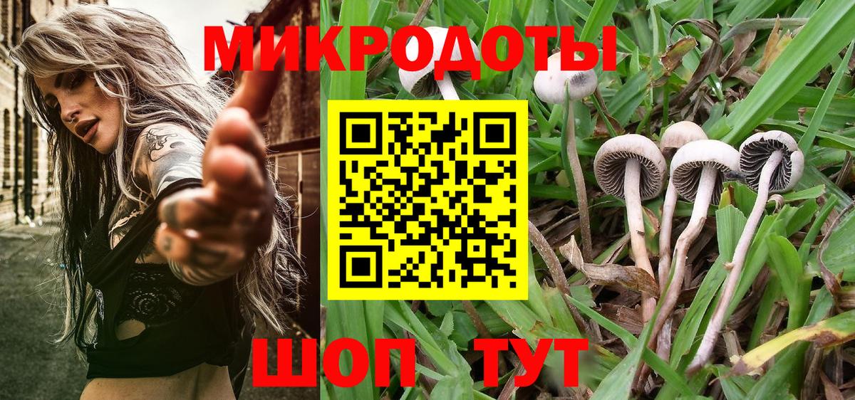Галлюциногенные грибы мицелий Балаково