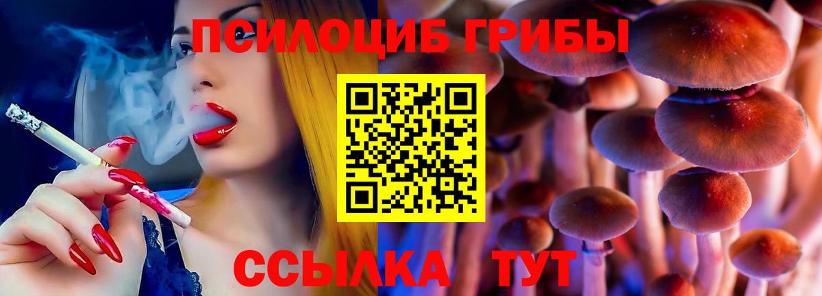 Галлюциногенные грибы Psilocybine cubensis Балаково